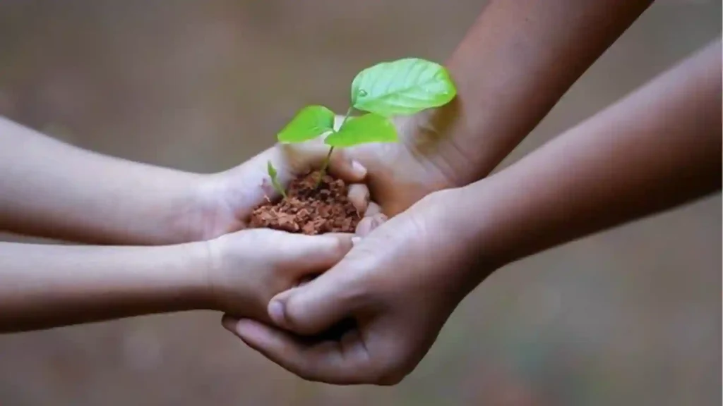 perbedaan infak zakat sedekah